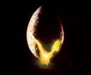 pic for Alien Egg